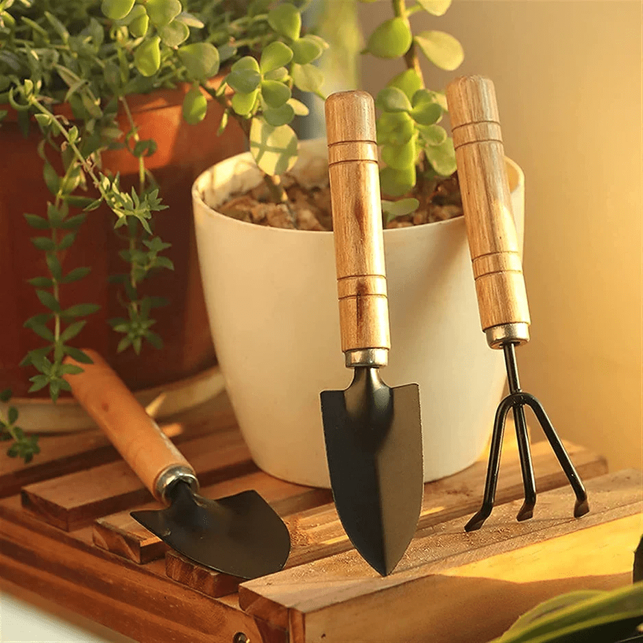 Garden Tool Set