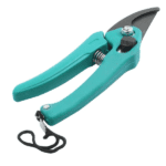 Professional Pruners