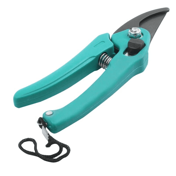 Professional Pruners